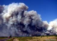 Лесные пожары на востоке Украины (ФОТО) Главное за день Запорожское время