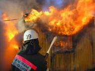 В Нижегородской области лесной пожар полностью уничтожил целое село в 340 домов - ИА REGNUM